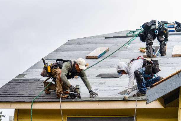 Professional Gutter Installation technician working in Lowgap, NC